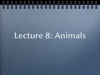 Lecture 8: Animals
 