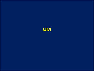 UM
 