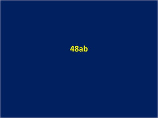 48ab
 
