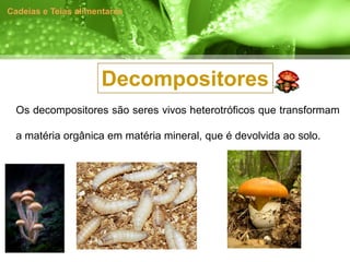 Cadeias e Teias alimentares




                     Decompositores
  Os decompositores são seres vivos heterotróficos que transformam

  a matéria orgânica em matéria mineral, que é devolvida ao solo.
 