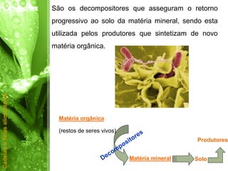 São os decompositores que asseguram o retorno
                              progressivo ao solo da matéria mineral, sendo esta
                              utilizada pelos produtores que sintetizam de novo
                              matéria orgânica.
Cadeias e Teias alimentares




                                Matéria orgânica

                                (restos de seres vivos)
                                                                            Produtores


                                                          Matéria mineral   Solo
 