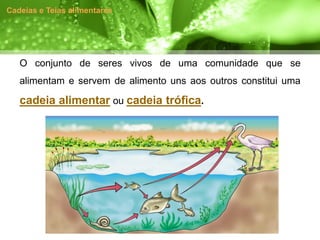 Cadeias e Teias alimentares




   O conjunto de seres vivos de uma comunidade que se
   alimentam e servem de alimento uns aos outros constitui uma

   cadeia alimentar ou cadeia trófica.
 