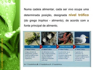 Numa cadeia alimentar, cada ser vivo ocupa uma

                              determinada posição, designada nível trófico
                              (do grego trophos - alimento), de acordo com a
                              fonte principal de alimento.
Cadeias e Teias alimentares
 