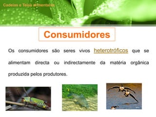 Cadeias e Teias alimentares




                     Consumidores
  Os consumidores são seres vivos heterotróficos que se

  alimentam directa ou indirectamente da matéria orgânica

  produzida pelos produtores.
 
