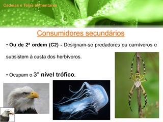 Cadeias e Teias alimentares




                Consumidores secundários
 • Ou de 2ª ordem (C2) - Designam-se predadores ou carnívoros e

 subsistem à custa dos herbívoros.


 • Ocupam o 3° nível trófico.
 