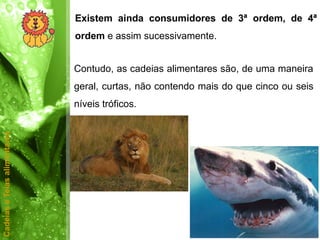 Existem ainda consumidores de 3ª ordem, de 4ª
                              ordem e assim sucessivamente.


                              Contudo, as cadeias alimentares são, de uma maneira
                              geral, curtas, não contendo mais do que cinco ou seis
                              níveis tróficos.
Cadeias e Teias alimentares
 