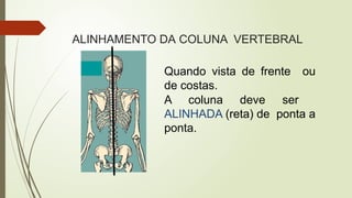 ALINHAMENTO DA COLUNA VERTEBRAL
Quando vista de frente ou
de costas.
A coluna deve ser
ALINHADA (reta) de ponta a
ponta.
 