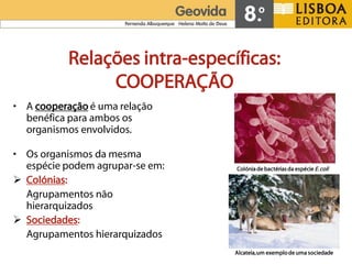 Relações intra-específicas:
                COOPERAÇÃO
• A cooperação é uma relação
  benéfica para ambos os
  organismos envolvidos.

• Os organismos da mesma
  espécie podem agrupar-se em:   Colónia de bactérias da espécie E. coli

 Colónias:
  Agrupamentos não
  hierarquizados
 Sociedades:
  Agrupamentos hierarquizados
                                 Alcateia, um exemplo de uma sociedade
 
