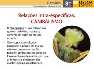 Relações intra-específicas:
                CANIBALISMO
• O canibalismo é uma relação em
  que um indivíduo mata e se
  alimenta de outro da mesma
  espécie.
• Ocorre, por exemplo, com
  crocodilos e peixes, em que os
  adultos comem as crias. São
  também conhecidos os casos do
  louva-a-Deus e de aranhas, em que
  as fêmeas se alimentam dos
  machos após o acasalamento.
 