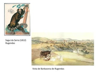 Sagui da Serra (1812)
Rugendas




                        Vista de Barbacena de Rugendas
 