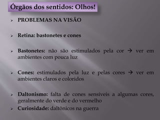  PROBLEMAS NA VISÃO
 Retina: bastonetes e cones
 Bastonetes: não são estimulados pela cor  ver em
ambientes com pouca luz
 Cones: estimulados pela luz e pelas cores  ver em
ambientes claros e coloridos
 Daltonismo: falta de cones sensíveis a algumas cores,
geralmente do verde e do vermelho
 Curiosidade: daltônicos na guerra
Órgãos dos sentidos: Olhos!
 