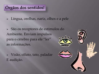  Língua, orelhas, nariz, olhos e a pele
 São os receptores de estímulos do
Ambiente. Enviam impulsos
para o cérebro para ele “ler”
as informações.
 Visão, olfato, tato, paladar
E audição.
Órgãos dos sentidos!
 