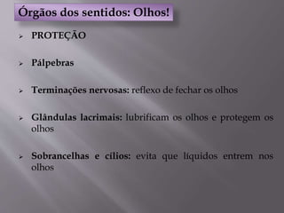  PROTEÇÃO
 Pálpebras
 Terminações nervosas: reflexo de fechar os olhos
 Glândulas lacrimais: lubrificam os olhos e protegem os
olhos
 Sobrancelhas e cílios: evita que líquidos entrem nos
olhos
Órgãos dos sentidos: Olhos!
 