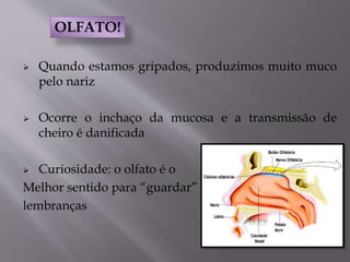  Quando estamos gripados, produzimos muito muco
pelo nariz
 Ocorre o inchaço da mucosa e a transmissão de
cheiro é danificada
 Curiosidade: o olfato é o
Melhor sentido para “guardar”
lembranças
OLFATO!
 