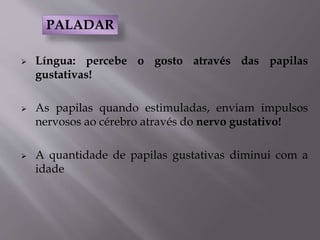  Língua: percebe o gosto através das papilas
gustativas!
 As papilas quando estimuladas, enviam impulsos
nervosos ao cérebro através do nervo gustativo!
 A quantidade de papilas gustativas diminui com a
idade
PALADAR
 