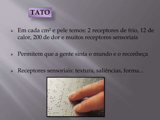  Em cada cm² e pele temos: 2 receptores de frio, 12 de
calor, 200 de dor e muitos receptores sensoriais
 Permitem que a gente sinta o mundo e o reconheça
 Receptores sensoriais: textura, saliências, forma...
TATO
 