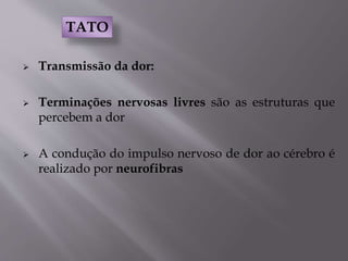  Transmissão da dor:
 Terminações nervosas livres são as estruturas que
percebem a dor
 A condução do impulso nervoso de dor ao cérebro é
realizado por neurofibras
TATO
 