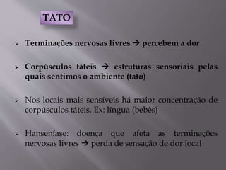  Terminações nervosas livres  percebem a dor
 Corpúsculos táteis  estruturas sensoriais pelas
quais sentimos o ambiente (tato)
 Nos locais mais sensíveis há maior concentração de
corpúsculos táteis. Ex: língua (bebês)
 Hanseníase: doença que afeta as terminações
nervosas livres  perda de sensação de dor local
TATO
 