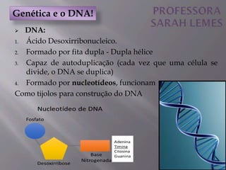  DNA:
1. Ácido Desoxirribonucleico.
2. Formado por fita dupla - Dupla hélice
3. Capaz de autoduplicação (cada vez que uma célula se
divide, o DNA se duplica)
4. Formado por nucleotídeos, funcionam
Como tijolos para construção do DNA
Genética e o DNA!
 