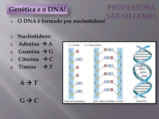  O DNA é formado por nucleotídeos!
 Nucleotídeos:
1. Adenina  A
2. Guanina  G
3. Citosina  C
4. Timina  T
A  T
G  C
Genética e o DNA!
 