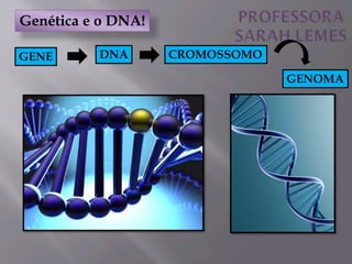 Genética e o DNA!
GENE CROMOSSOMODNA
GENOMA
 
