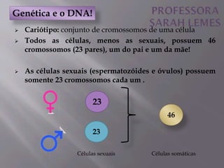  Cariótipo: conjunto de cromossomos de uma célula
 Todos as células, menos as sexuais, possuem 46
cromossomos (23 pares), um do pai e um da mãe!
 As células sexuais (espermatozóides e óvulos) possuem
somente 23 cromossomos cada um .
Genética e o DNA!
23
23
46
Células sexuais Células somáticas
 