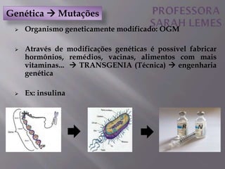  Organismo geneticamente modificado: OGM
 Através de modificações genéticas é possível fabricar
hormônios, remédios, vacinas, alimentos com mais
vitaminas...  TRANSGENIA (Técnica)  engenharia
genética
 Ex: insulina
Genética  Mutações
 