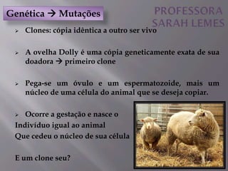 Clones: cópia idêntica a outro ser vivo
 A ovelha Dolly é uma cópia geneticamente exata de sua
doadora  primeiro clone
 Pega-se um óvulo e um espermatozoide, mais um
núcleo de uma célula do animal que se deseja copiar.
 Ocorre a gestação e nasce o
Indivíduo igual ao animal
Que cedeu o núcleo de sua célula
E um clone seu?
Genética  Mutações
 