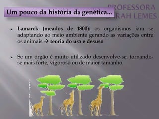  Lamarck (meados de 1800): os organismos iam se
adaptando ao meio ambiente gerando as variações entre
os animais  teoria do uso e desuso
 Se um órgão é muito utilizado desenvolve-se. tornando-
se mais forte, vigoroso ou de maior tamanho.
Um pouco da história da genética...
 