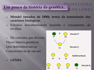  Mendel (meados de 1800): teoria da transmissão dos
caracteres biológicos.
 Estudou hereditariedade fazendo o cruzamento de
ervilhas
 Ele concluiu que deveria
Haver fatores genéticos
Que determinavam as
Características de um ser
 GENES.
Um pouco da história da genética...
 