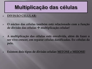  DIVISÃO CELULAR:
 O núcleo das células também está relacionado com a função
de divisão das células  multiplicação celular!
 A multiplicação das células está envolvida, além de fazer o
ser vivo crescer, em reparar células danificadas. Ex: células da
pele.
 Existem dois tipos de divisão celular: MITOSE e MEIOSE!
 