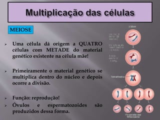  Uma célula dá origem a QUATRO
células com METADE do material
genético existente na célula mãe!
 Primeiramente o material genético se
multiplica dentro do núcleo e depois
ocorre a divisão.
 Função: reprodução!
 Óvulos e espermatozoides são
produzidos dessa forma.
MEIOSE
 
