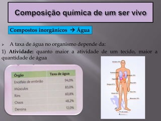  A taxa de água no organismo depende da:
1) Atividade: quanto maior a atividade de um tecido, maior a
quantidade de água
Compostos inorgânicos  Água
 