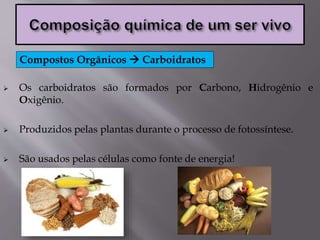  Os carboidratos são formados por Carbono, Hidrogênio e
Oxigênio.
 Produzidos pelas plantas durante o processo de fotossíntese.
 São usados pelas células como fonte de energia!
Compostos Orgânicos  Carboidratos
 