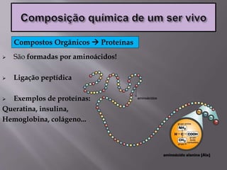  São formadas por aminoácidos!
 Ligação peptídica
 Exemplos de proteínas:
Queratina, insulina,
Hemoglobina, colágeno...
Compostos Orgânicos  Proteínas
 