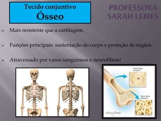  Mais resistente que a cartilagem.
 Funções principais: sustentação do corpo e proteção de órgãos.
 Atravessado por vasos sanguíneos e neurofibras!
Tecido conjuntivo
Ósseo
 
