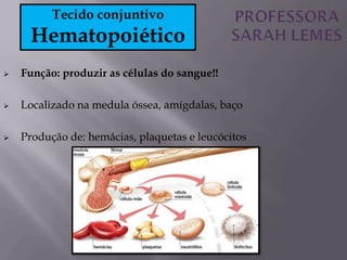  Função: produzir as células do sangue!!
 Localizado na medula óssea, amígdalas, baço
 Produção de: hemácias, plaquetas e leucócitos
Tecido conjuntivo
Hematopoiético
 