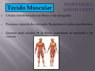  Células transformadas em fibras e são alongadas
 Possuem capacidade contração. Responsáveis pelos movimentos
 Quando mais usados  as fibras aumentam de tamanho e de
volume
Tecido Muscular
 