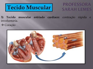 3) Tecido muscular estriado cardíaco: contração rápida e
involuntária.
 Coração
Tecido Muscular
 