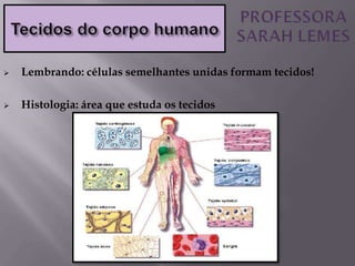  Lembrando: células semelhantes unidas formam tecidos!
 Histologia: área que estuda os tecidos
 