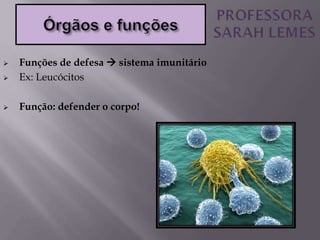  Funções de defesa  sistema imunitário
 Ex: Leucócitos
 Função: defender o corpo!
 