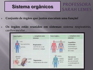  Conjunto de órgãos que juntos executam uma função!
 Os órgãos estão reunidos em sistemas: sistema respiratório,
cardiovascular...
 