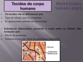  Os tecidos vão se diferenciar por:
1) Tipo de células que os compõem
2) Se apresentam substância intercelular
 Substância intercelular: preenche o vazio entre as células. São
formados por:
1) Fibras de proteínas
2) Substância líquida, dura ou gelatinosa (depende)
 