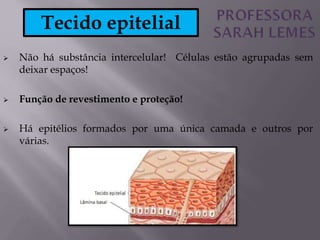  Não há substância intercelular! Células estão agrupadas sem
deixar espaços!
 Função de revestimento e proteção!
 Há epitélios formados por uma única camada e outros por
várias.
Tecido epitelial
 