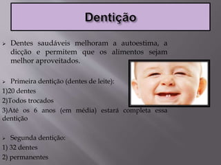  Dentes saudáveis melhoram a autoestima, a
dicção e permitem que os alimentos sejam
melhor aproveitados.
 Primeira dentição (dentes de leite):
1)20 dentes
2)Todos trocados
3)Até os 6 anos (em média) estará completa essa
dentição
 Segunda dentição:
1) 32 dentes
2) permanentes
 