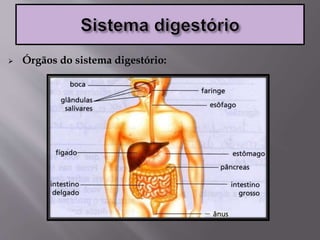  Órgãos do sistema digestório:
 