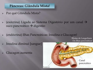 Pâncreas: Glândula Mista!
Ilhotas de Langerhans
Ou Ilhas pancreáticas
Canal
pancreático
 Por quê Glândula Mista?
 (exócrina) Ligada ao Sistema Digestório por um canal 
suco pancreático  digestão
 (endócrina) Ilhas Pancreáticas: Insulina e Glucagon!
 Insulina diminui [sangue]
 Glucagon aumenta
 