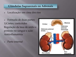 Glândulas Suprarenais ou Adrenais
 Localização: em cima dos rins
 Formada de duas partes:
1)Córtex: corticóides
Regulação da taxa de sódio e
potássio no sangue e ação
Antiinflamatória
 Parte externa!
 