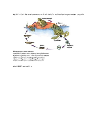 QUESTÃO 03. De acordo com o texto da atividade 3 e analisando a imagem abaixo, responda:
O esquema representa uma
a) reprodução sexuada com fecundação interna
b) reprodução sexuada com fecundação externa
c) reprodução assexuada por fragmentação
d) reprodução assexuada por brotamento
GABARITO: alternativa b
 