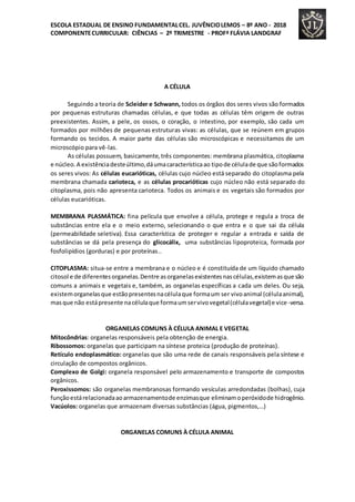 ESCOLA ESTADUAL DE ENSINO FUNDAMENTALCEL. JUVÊNCIOLEMOS – 8º ANO - 2018
COMPONENTECURRICULAR: CIÊNCIAS – 2º TRIMESTRE - PROFª FLÁVIA LANDGRAF
A CÉLULA
Seguindo a teoria de Scleider e Schwann, todos os órgãos dos seres vivos são formados
por pequenas estruturas chamadas células, e que todas as células têm origem de outras
preexistentes. Assim, a pele, os ossos, o coração, o intestino, por exemplo, são cada um
formados por milhões de pequenas estruturas vivas: as células, que se reúnem em grupos
formando os tecidos. A maior parte das células são microscópicas e necessitamos de um
microscópio para vê-las.
As células possuem, basicamente,três componentes: membrana plasmática, citoplasma
e núcleo.A existênciadesteúltimo,dáumacaracterísticaao tipode célulade que sãoformados
os seres vivos: As células eucarióticas, células cujo núcleo está separado do citoplasma pela
membrana chamada carioteca, e as células procarióticas cujo núcleo não está separado do
citoplasma, pois não apresenta carioteca. Todos os animais e os vegetais são formados por
células eucarióticas.
MEMBRANA PLASMÁTICA: fina película que envolve a célula, protege e regula a troca de
substâncias entre ela e o meio externo, selecionando o que entra e o que sai da célula
(permeabilidade seletiva). Essa característica de proteger e regular a entrada e saída de
substâncias se dá pela presença do glicocálix, uma substâncias lipoproteica, formada por
fosfolipídios (gorduras) e por proteínas..
CITOPLASMA: situa-se entre a membrana e o núcleo e é constituída de um líquido chamado
citosol e de diferentesorganelas.Dentre asorganelasexistentesnascélulas,existemasque são
comuns a animais e vegetais e, também, as organelas específicas a cada um deles. Ou seja,
existemorganelasque estãopresentesnacélulaque formaum ser vivoanimal (célulaanimal),
masque não estápresente nacélulaque formaumservivovegetal(célulavegetal)e vice-versa.
ORGANELAS COMUNS À CÉLULA ANIMAL E VEGETAL
Mitocôndrias: organelas responsáveis pela obtenção de energia.
Ribossomos: organelas que participam na síntese proteica (produção de proteínas).
Retículo endoplasmático: organelas que são uma rede de canais responsáveis pela síntese e
circulação de compostos orgânicos.
Complexo de Golgi: organela responsável pelo armazenamento e transporte de compostos
orgânicos.
Peroxissomos: são organelas membranosas formando vesículas arredondadas (bolhas), cuja
funçãoestárelacionadaaoarmazenamentode enzimasque eliminamoperóxidode hidrogênio.
Vacúolos: organelas que armazenam diversas substâncias (água, pigmentos,…)
ORGANELAS COMUNS À CÉLULA ANIMAL
 